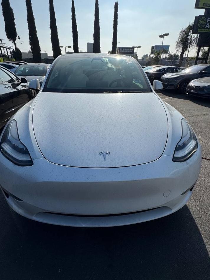 TESLA MODEL Y 2021 5YJYGDEF2MF091959 image